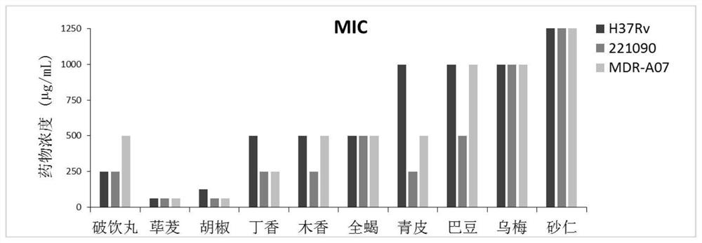 Method for rapidly optimizing traditional Chinese medicine formula and application of traditional Chinese medicine formula in drug-resistant tuberculosis resistance