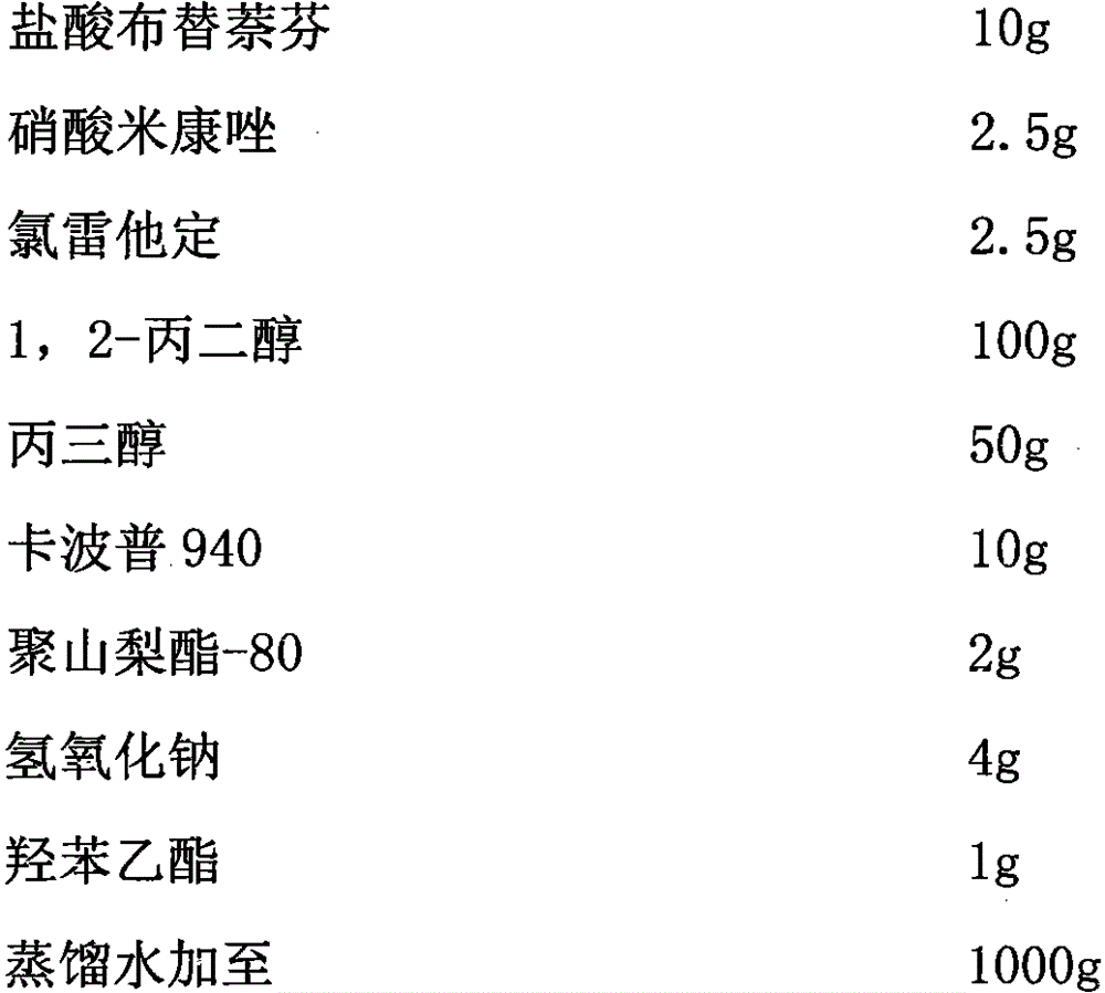 A kind of external pharmaceutical composition for treating skin fungus infection