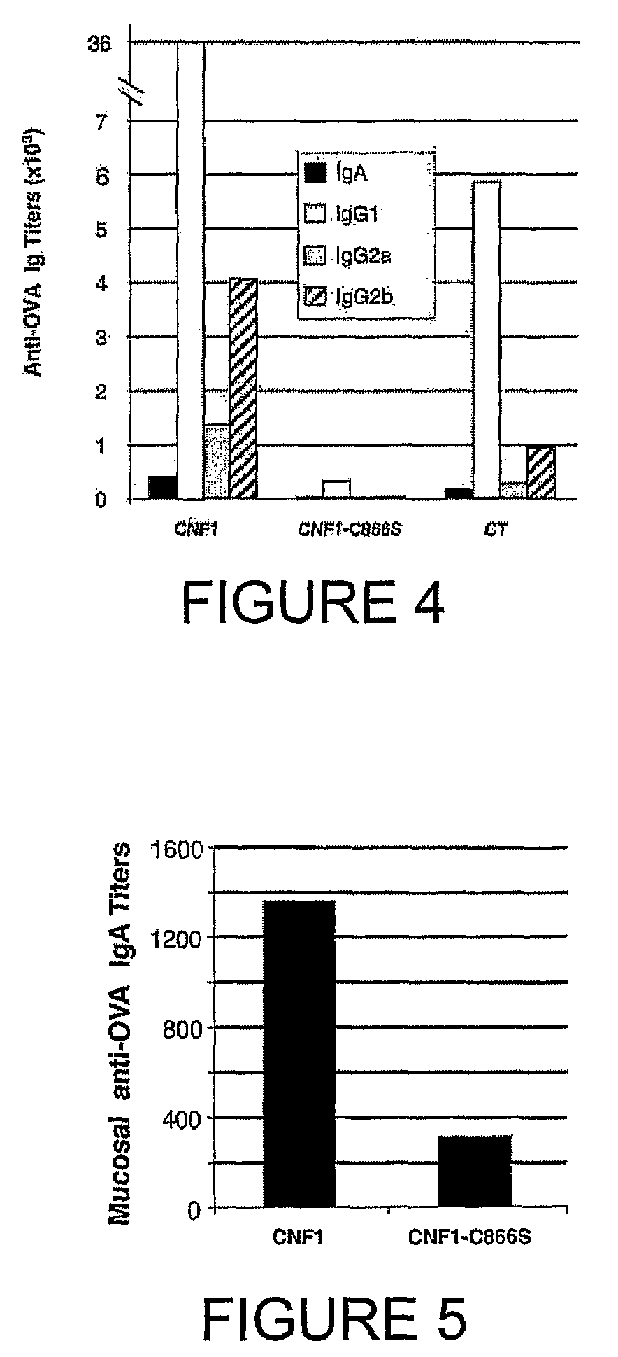 Vaccine composition comprising an immunoadjuvant compound consisting of a Rho GTPase family activator
