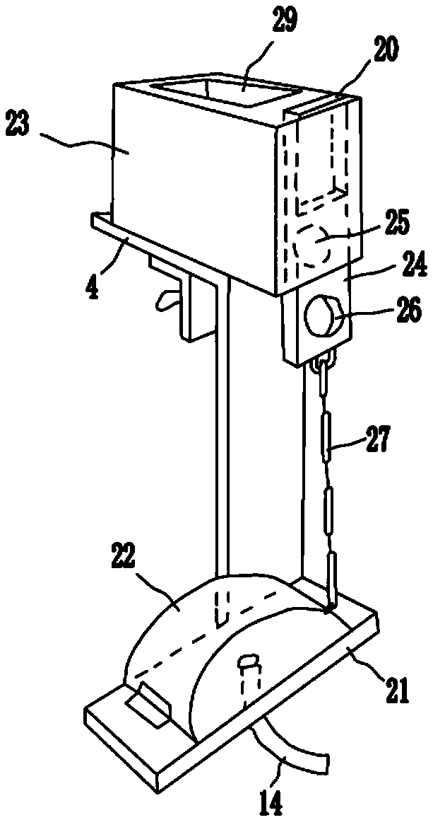 Automatic timing feeding system