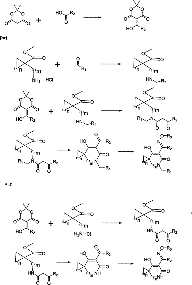 Oxime ether derivatives of spirocyclic tetronic acid, the preparation thereof, and insecticidal, acaricidal, bactericidal and herbicidal usages thereof
