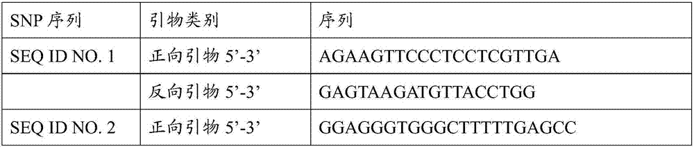 Molecular marker for identifying antler varieties, identification method and application thereof