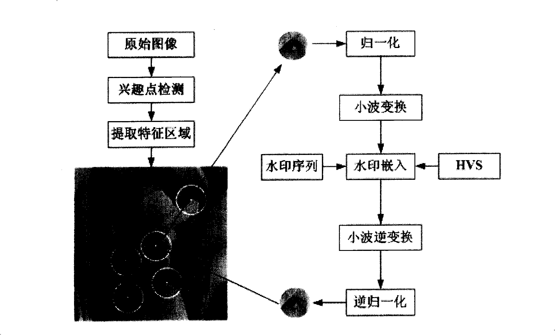 Digital watermark method against geometrical attack based on image characteristic region