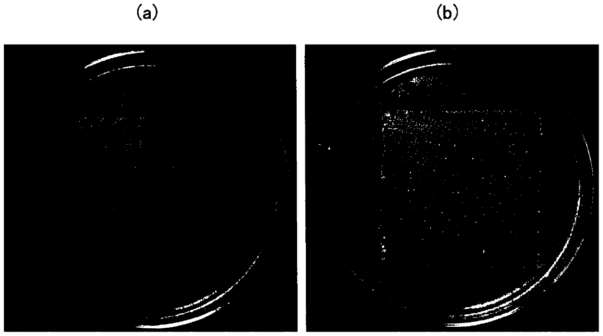 Method for manufacturing mildewproof sheet and packaging material