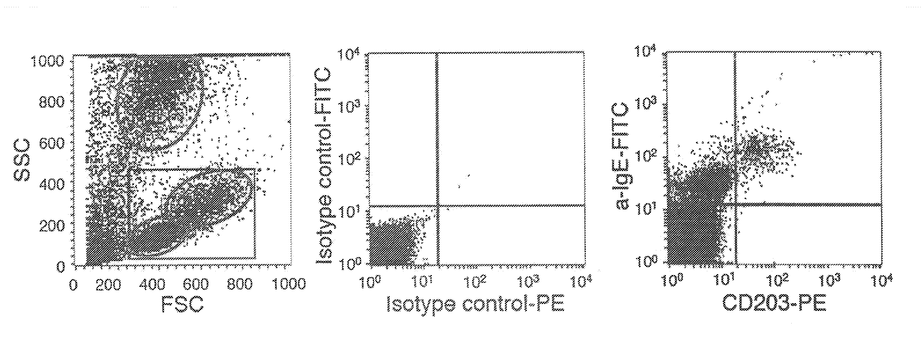 Process for enriching basophils in a blood sample
