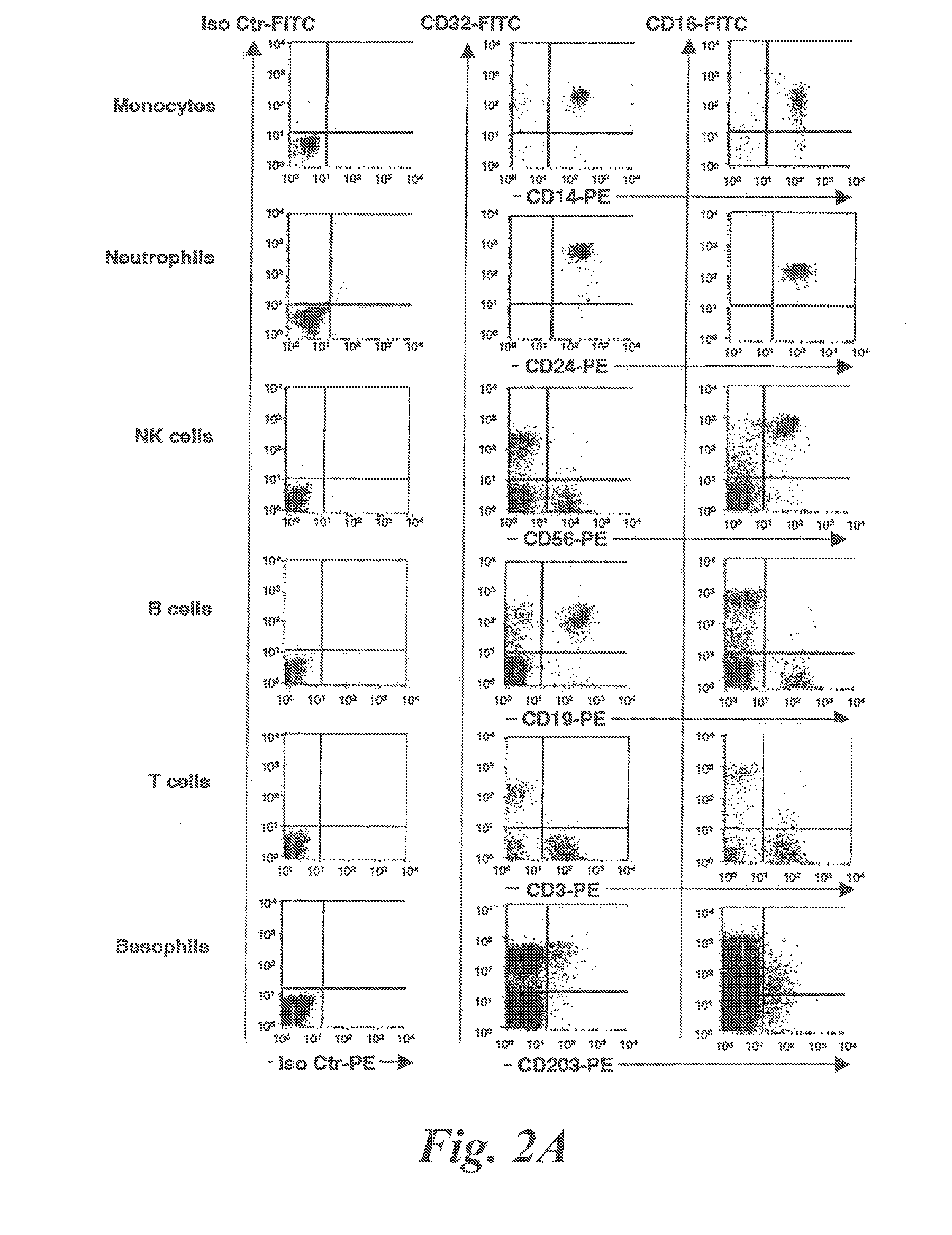 Process for enriching basophils in a blood sample