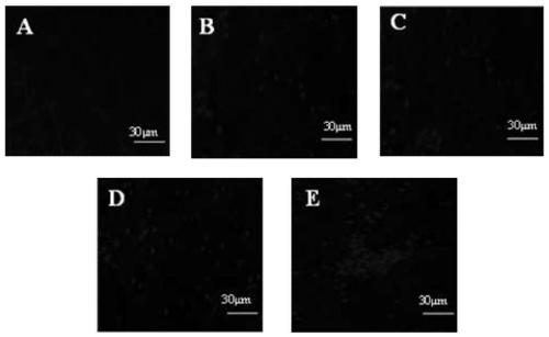 A microfluidic paper chip based on nano-gold modified screen-printed electrodes for online monitoring of intracellular dopamine