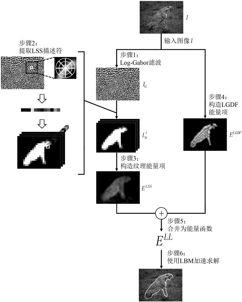 Texture image segmentation method based on level set model