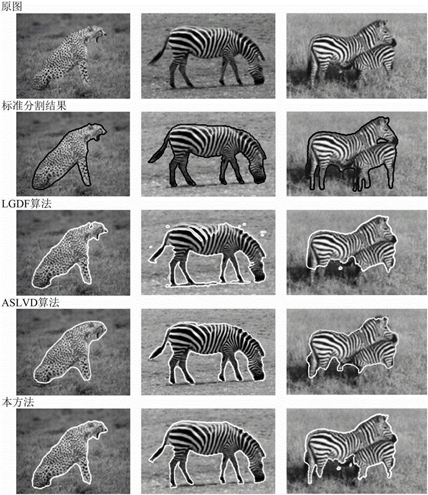 Texture image segmentation method based on level set model