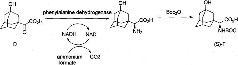 Preparation method for unnatural amino acids