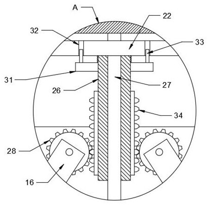 Elasticity testing device for textile fabric