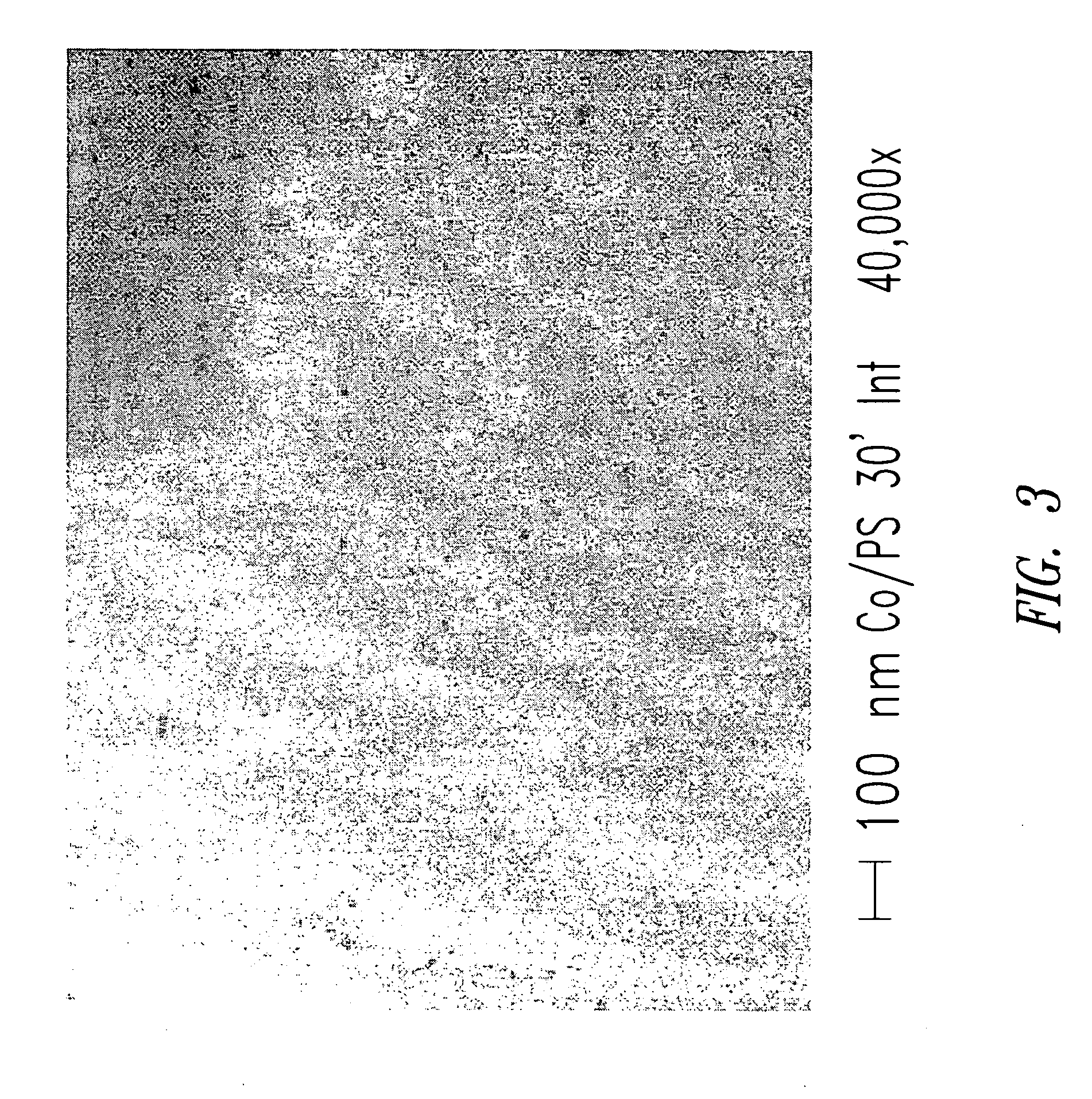 Process for the preparation of a composite polymeric material