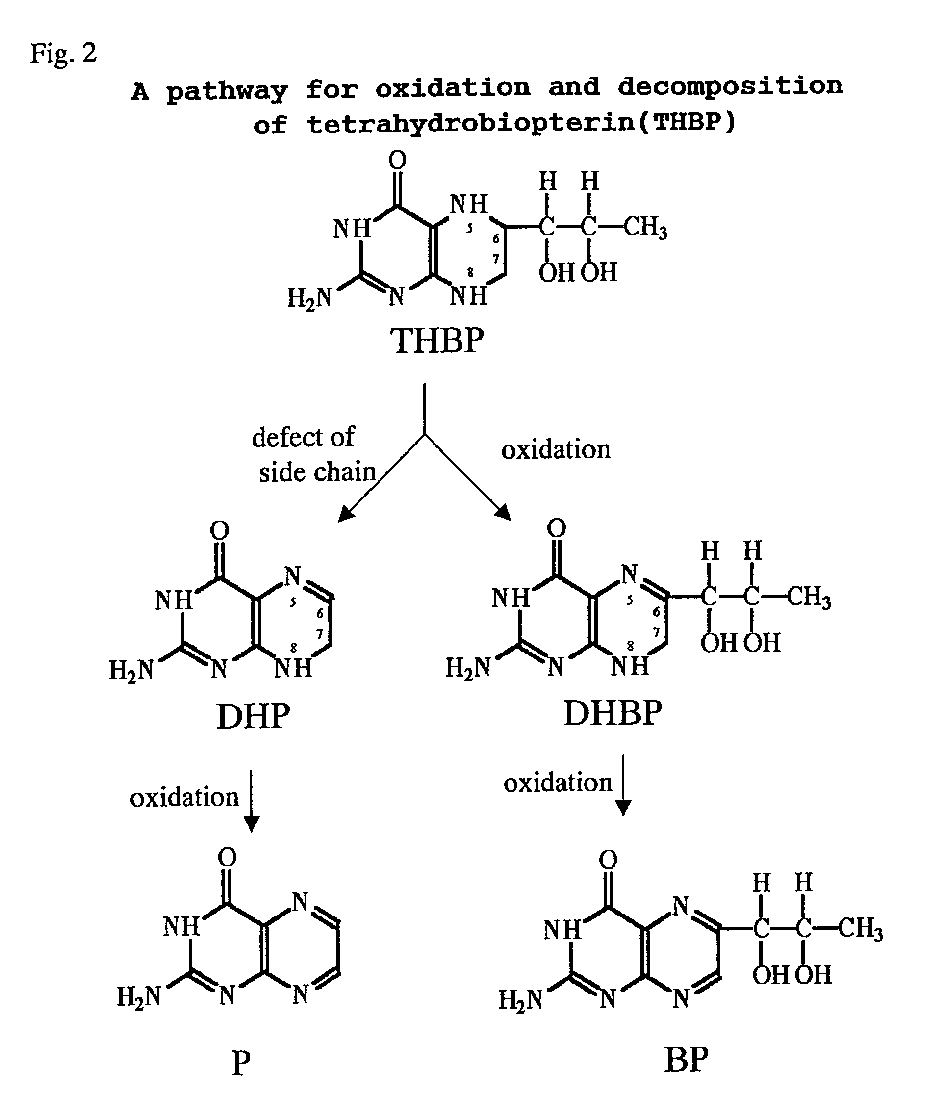 Process for production of biopterin compound