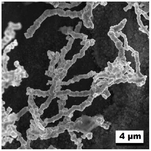 Preparation method of au-ir nanochain electrocatalyst for water splitting and oxygen production