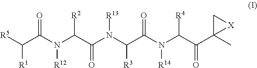 Compounds for enzyme inhibition