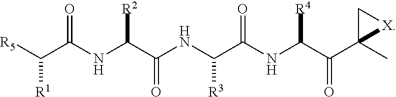 Compounds for enzyme inhibition