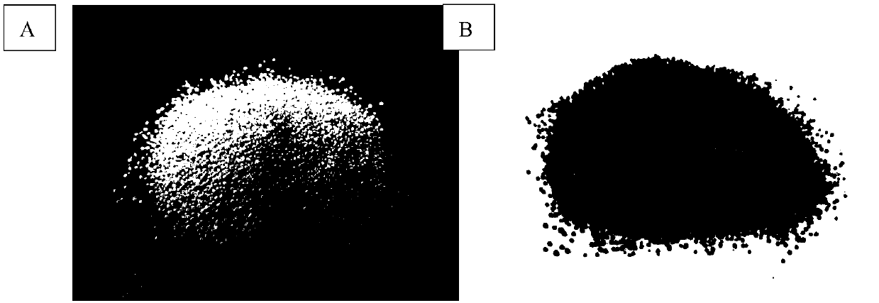 Preparation method of large-particle-size porous high-specific-surface silicon dioxide microspheres