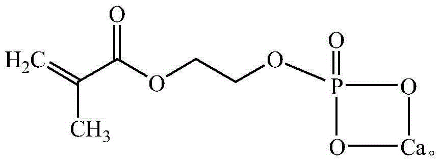 Dental restoration filling material containing special function monomer and preparation method of dental restoration filling material