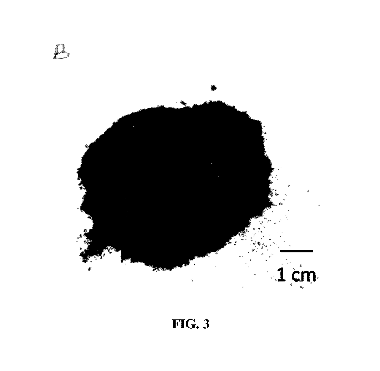 Powder coating compositions for reducing friction and wear in high temperature high pressure applications