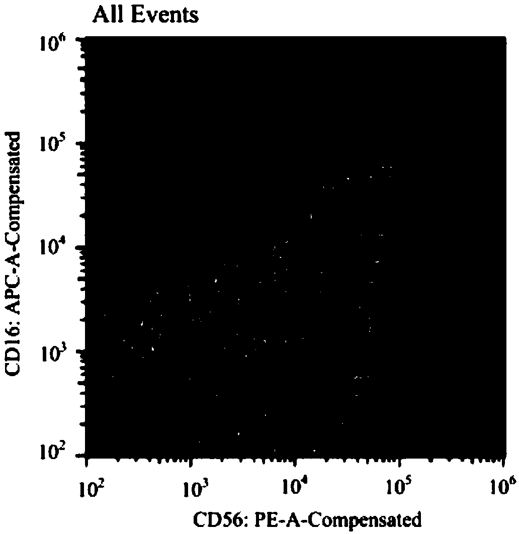 Serum-free cell culture solution for in-vitro amplification of nature killer cells and nature killer T cells