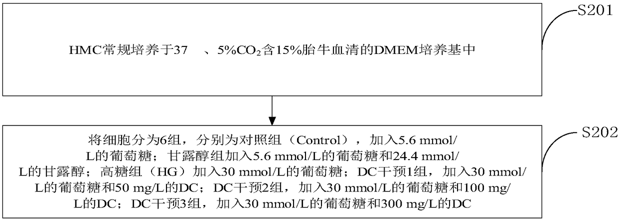 A method for detecting signal of diabetic nephropathy and glomerular mesangial cells utilizing Dendrobium officinale