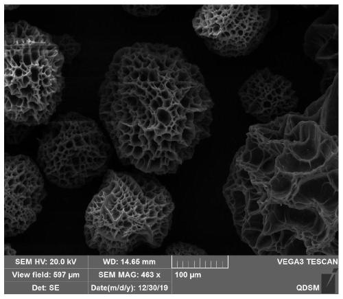 Highly porous gelatin microsphere