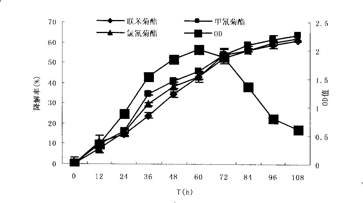 Uses of enterobacter aerogenes in degrading pyrethroid pesticide residue and preparation thereof