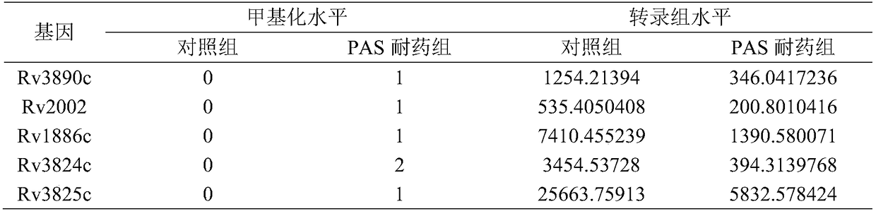 Aminosalicylic acid-resistant diagnostic marker of mycobacterium tuberculosis and application thereof