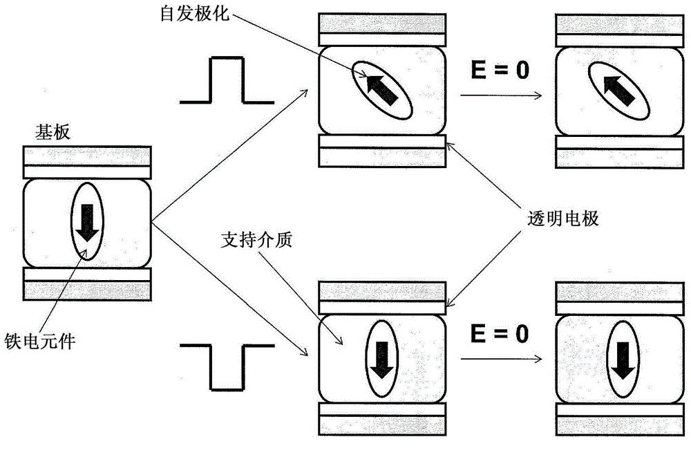 Display device with suspended ferroelectric particles