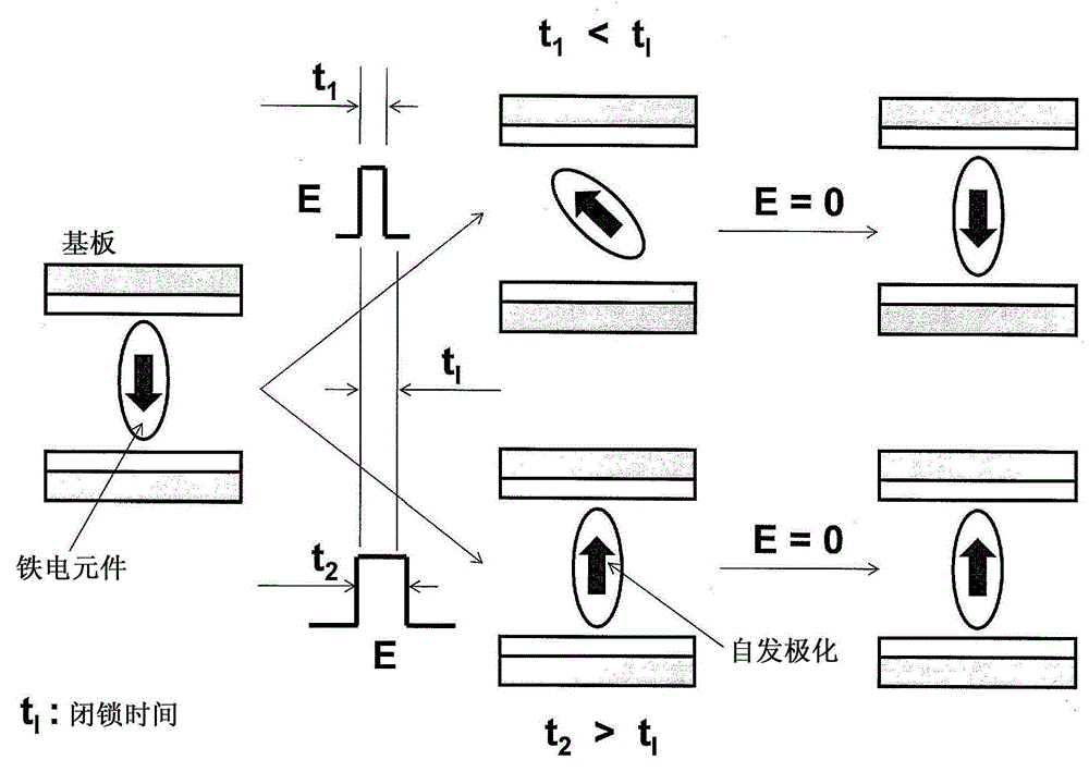 Display device with suspended ferroelectric particles