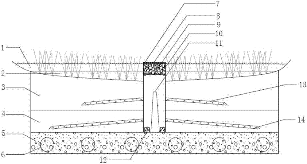 Soil improvement device applicable to grassed swale sponge urban infrastructure