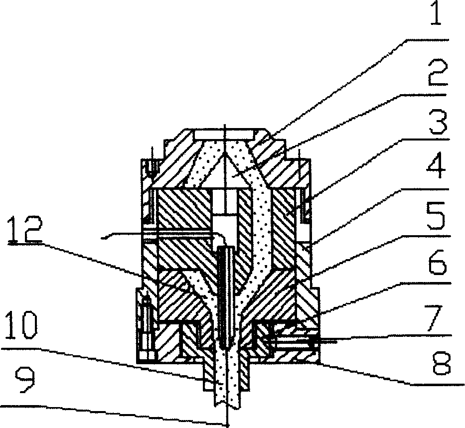 Extrusion molding method for ceramic pin blank tube with core and extrusion head thereof