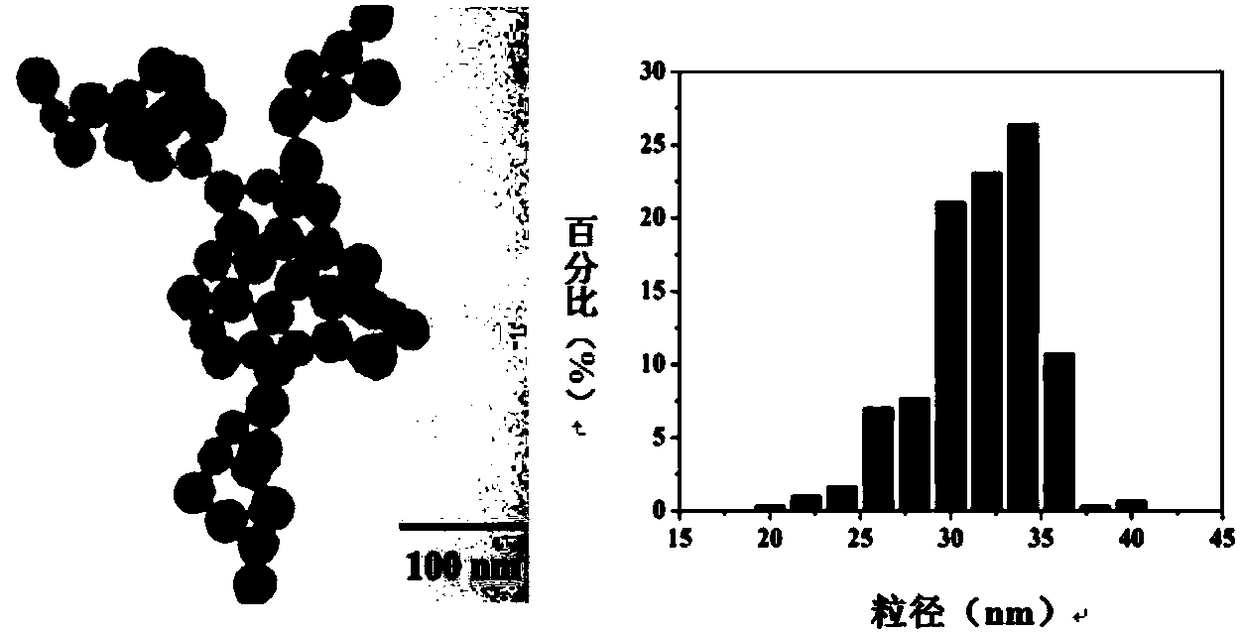 Method for improving solubility of poorly soluble drugs using silicon nanocarriers