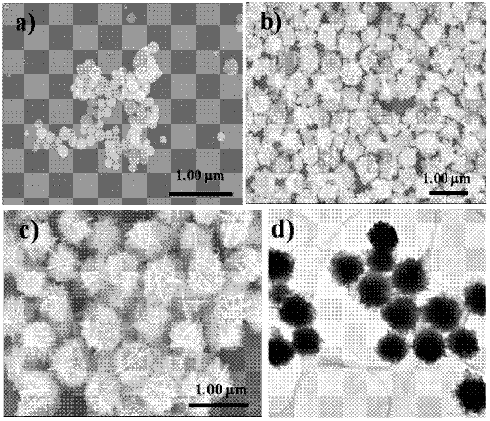 Method for preparing nano/micron gold hierarchical structure material