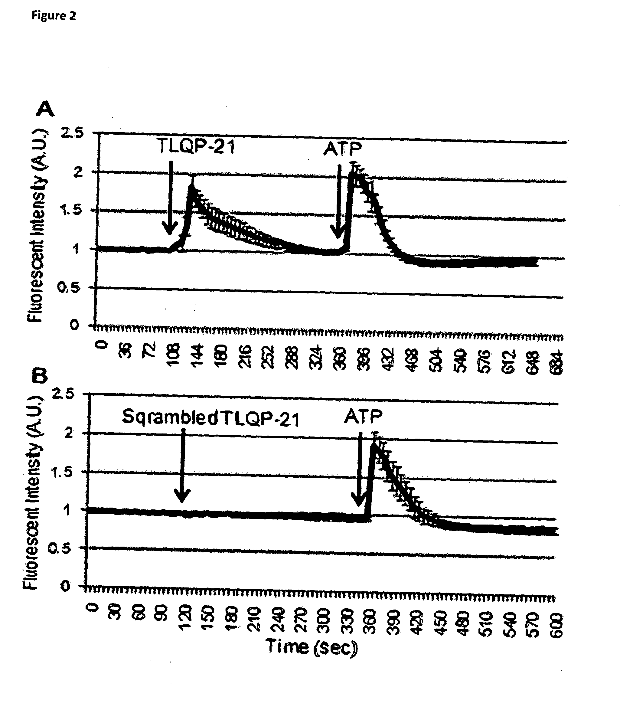 Methods of Treating Pain by Inhibition of VGF Activity