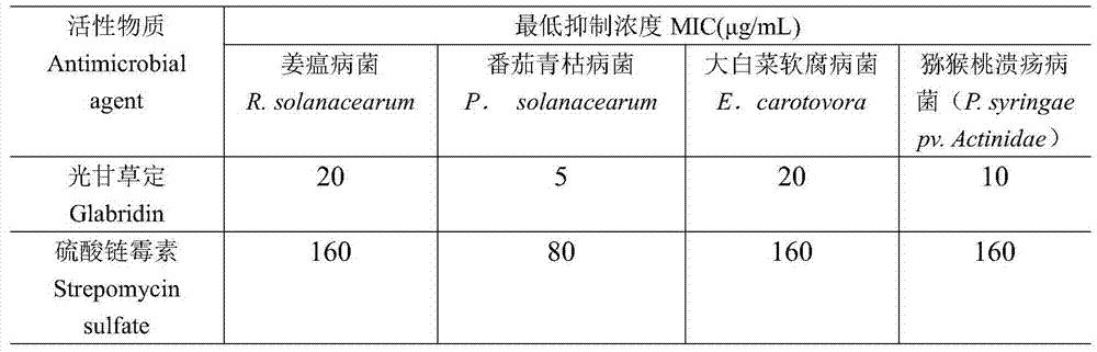 Application of a kind of isoflavone compound for preparing agricultural fungicide