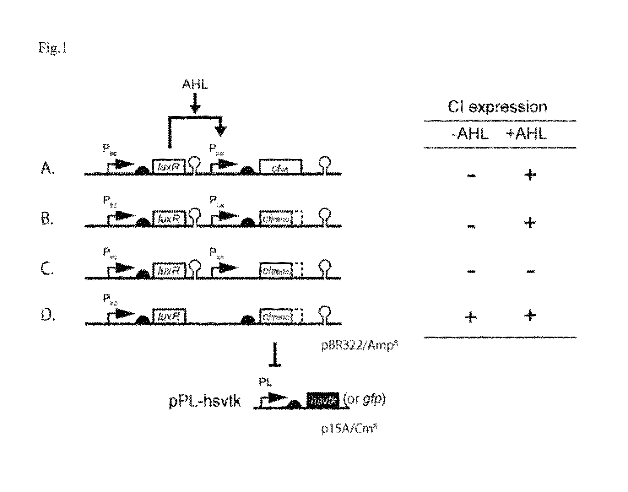 Method for rapidly developing gene switches and gene circuits