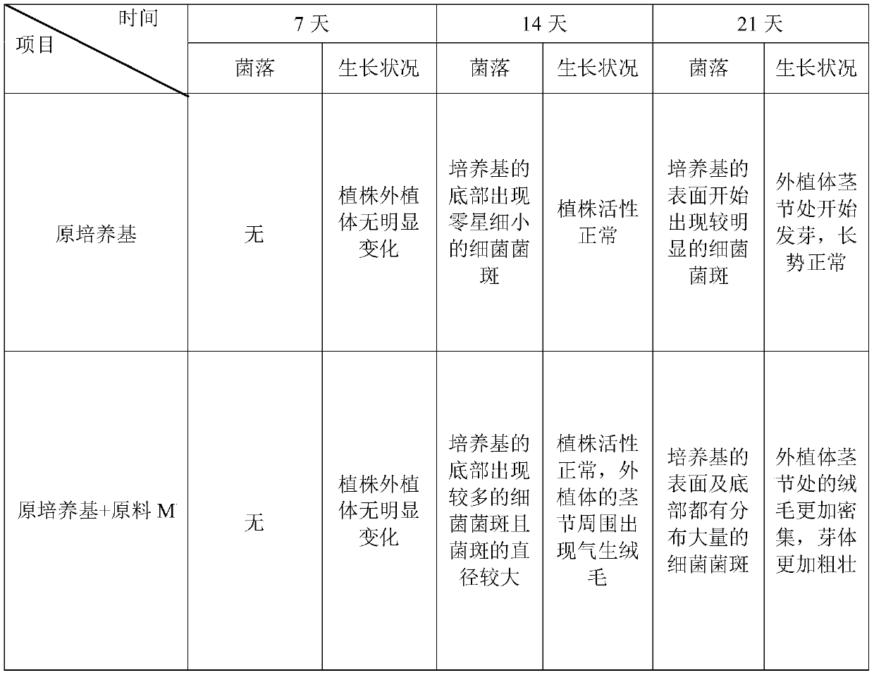 Extraction and purification method of anoectochilus roxburghii symbiotic bacteria