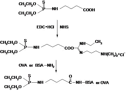 Immunodetection method of organophosphorus pesticide multi-residue