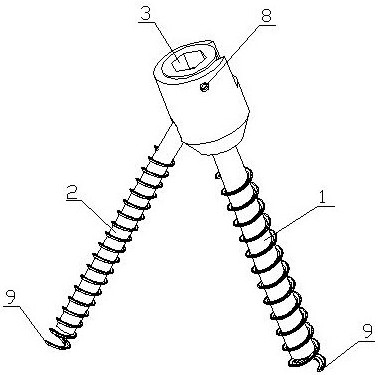 Zero-incisura conjoined screw for adjacent vertebral bodies
