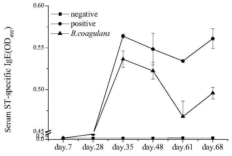 Application of bacillus coagulans in the preparation of medicines for preventing and/or treating allergic reactions