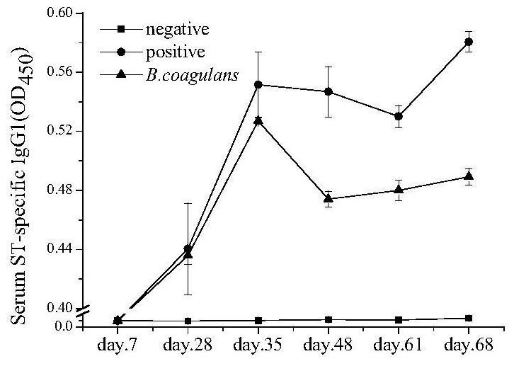 Application of bacillus coagulans in the preparation of medicines for preventing and/or treating allergic reactions