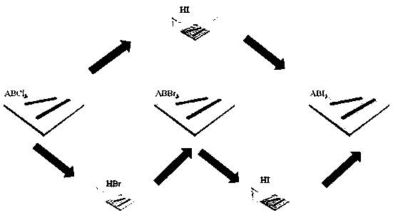 Preparation method and application of a multicolor halogen perovskite fluorescent material