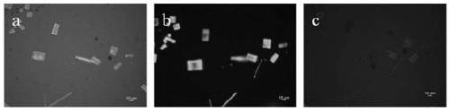 Preparation method and application of a multicolor halogen perovskite fluorescent material