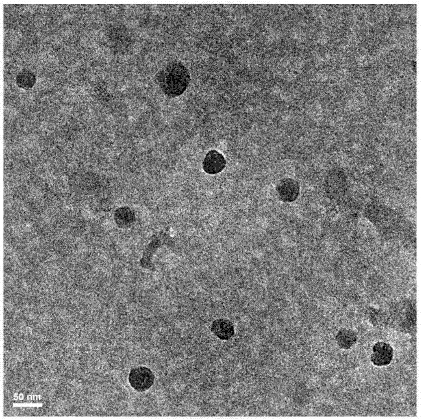 Melanin/Ce6 photodynamic nano drug with enhanced light absorption and preparation method of melanin/Ce6 photodynamic nano drug
