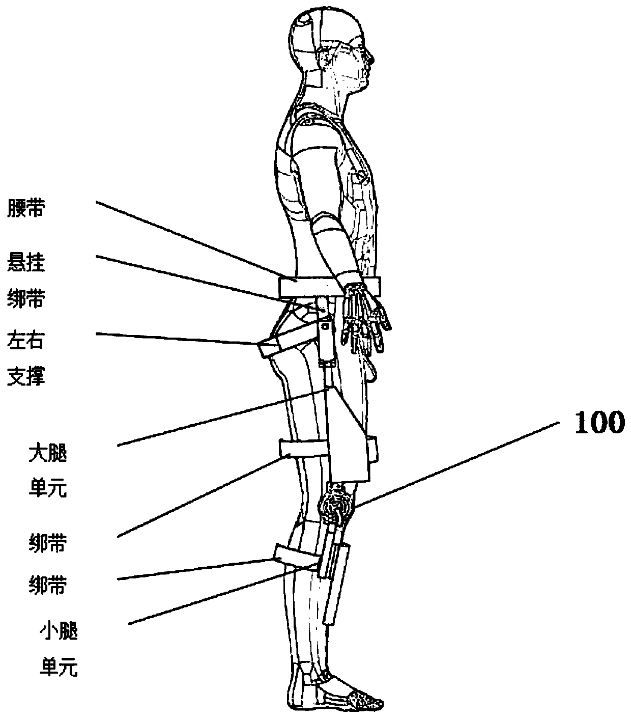 Flexible exoskeleton joint actuator capable of being clutched