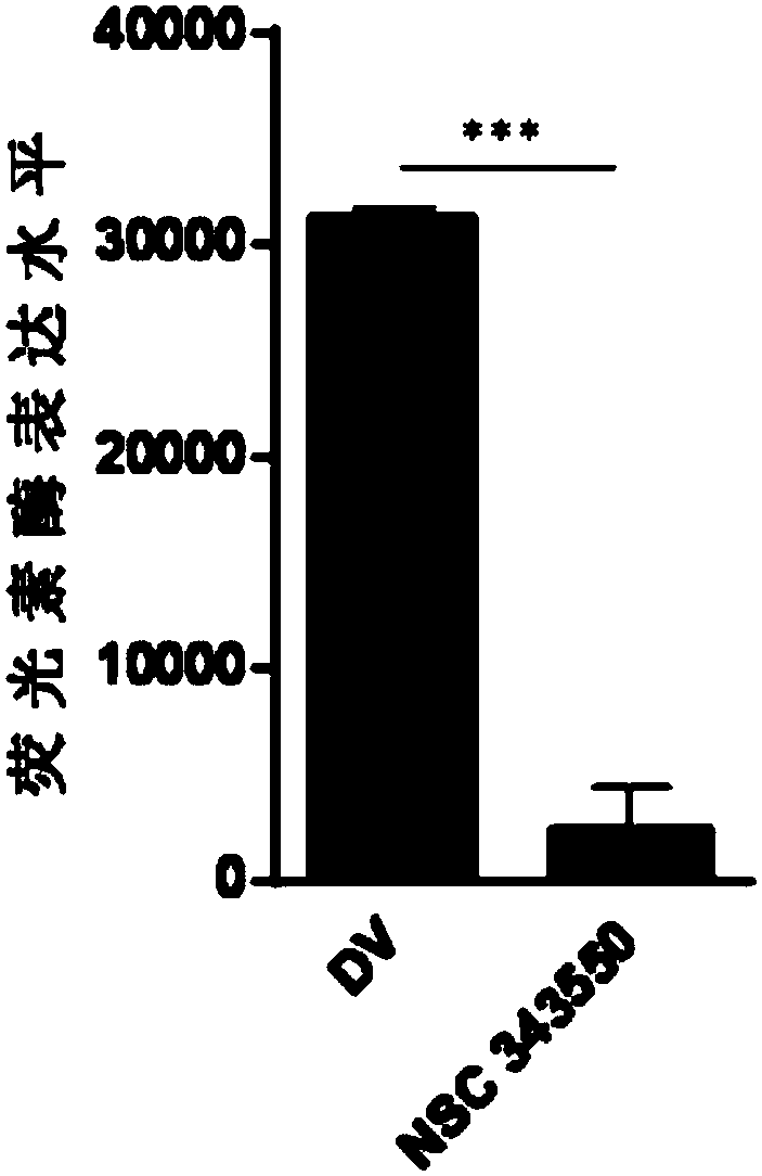 Application of compound NSC343550 in preparation of drugs for treating or preventing influenza viruses