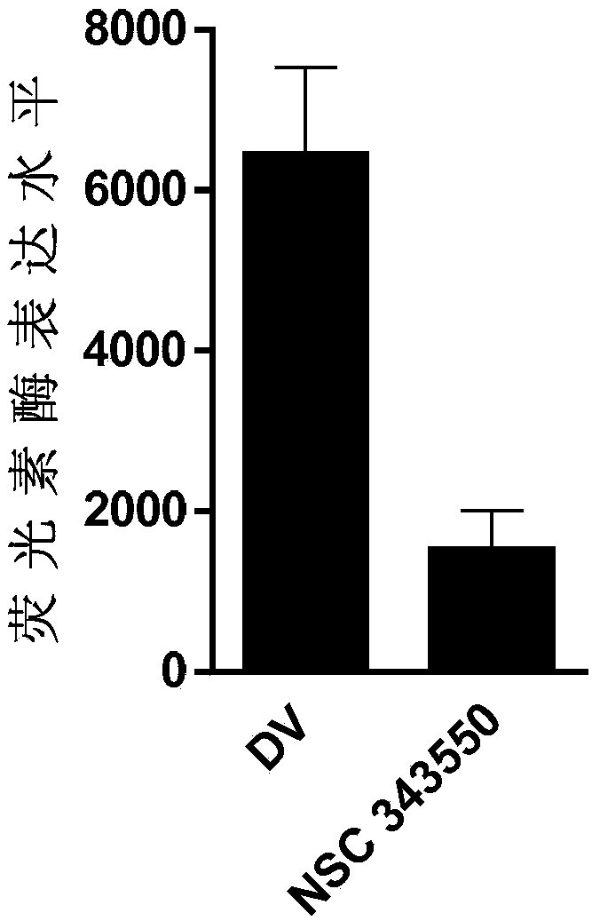 Application of compound NSC343550 in preparation of drugs for treating or preventing influenza viruses