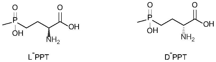 High-density fermentation method of recombinant phosphinothricin dehydrogenase engineering bacteria under phosphorus emission limitation