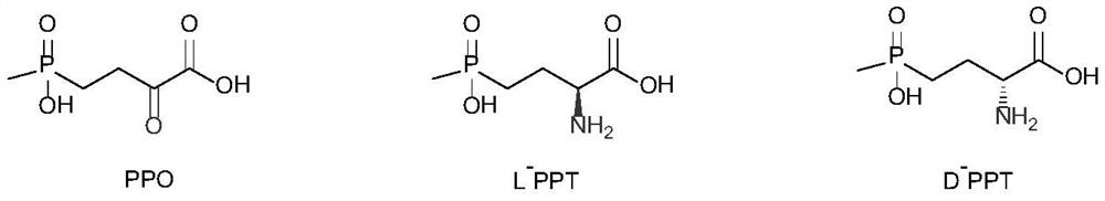 High-density fermentation method of recombinant phosphinothricin dehydrogenase engineering bacteria under phosphorus emission limitation